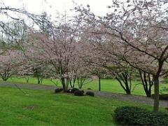 149 PARC ORIENTAL DE MAULEVIER MAINE ET LOIRE 2016 N3_000022